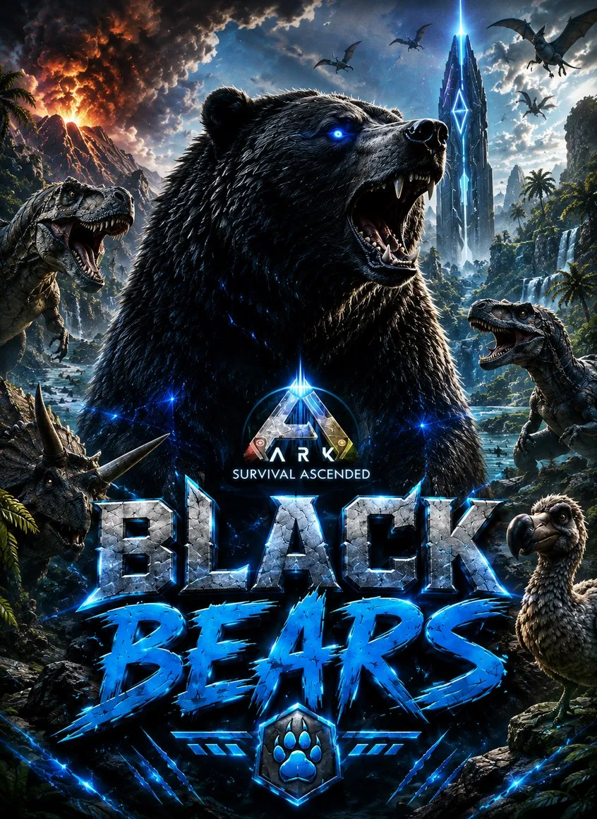 BLACK BEARS Solo-Duo-Trio 15x Cen Beschreibungs-Banner